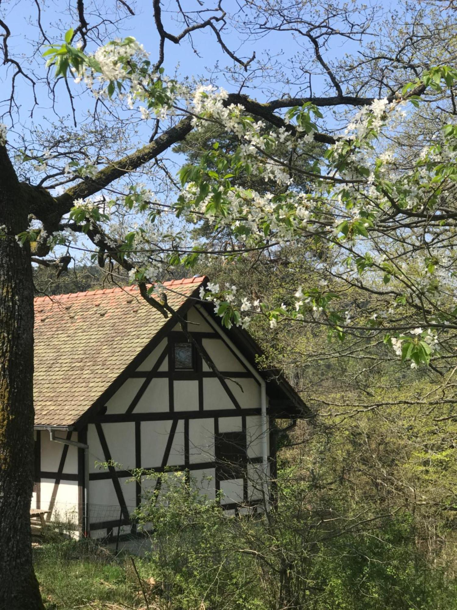 Logis Du Haut-koenigsbourg Thannenkirch