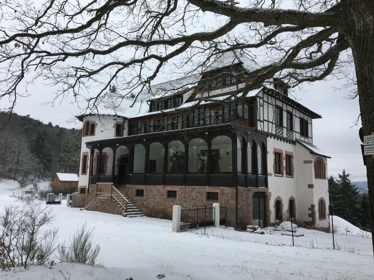 Logis Du Haut-koenigsbourg * Thannenkirch